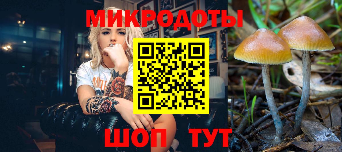 Галлюциногенные грибы Cubensis Нурлат